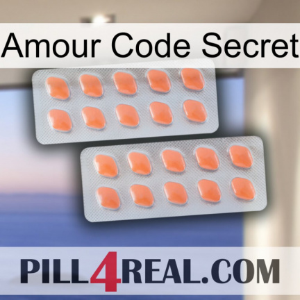 Love Secret Code 27